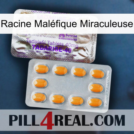 Racine Maléfique Miraculeuse new12